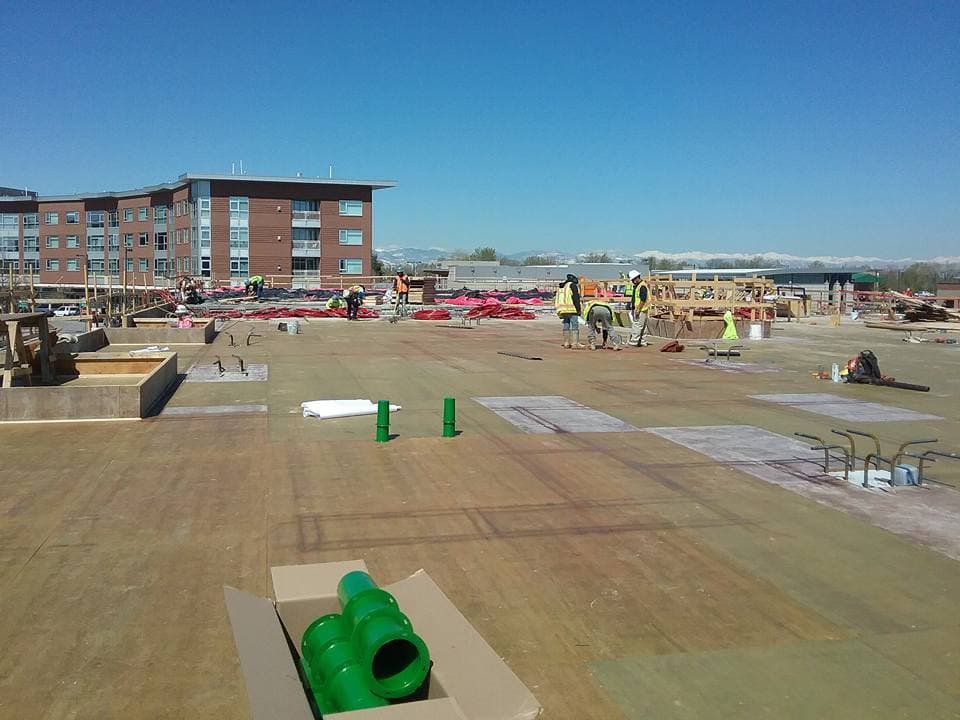 The Mint Town Center at Stapleton - Plumbing project photo 50